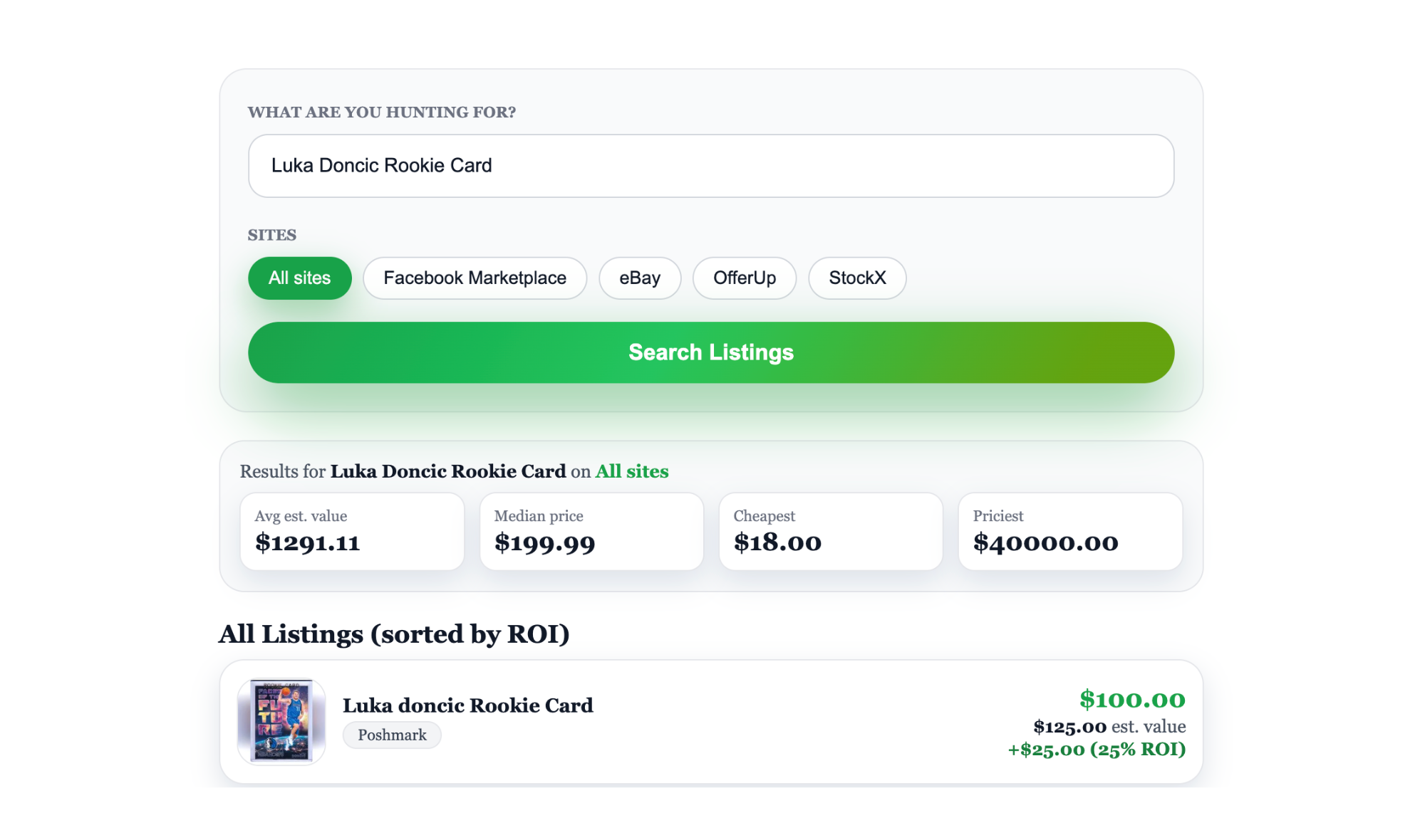 Flipper working on laptop